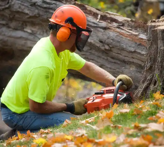 tree services Mantua